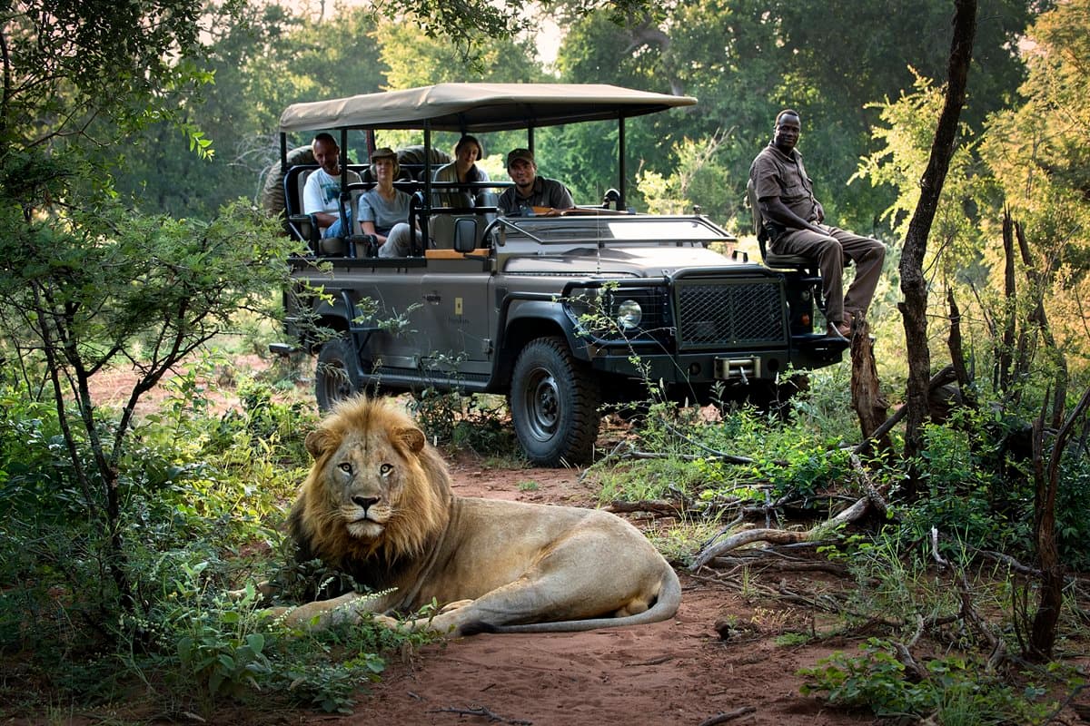 South African Safari