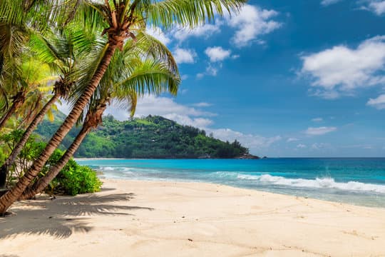 Beach & Relaxation